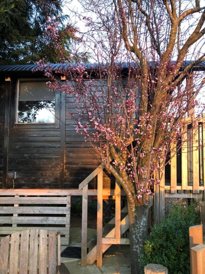 The Cherry Tree Gypsy Wagon Banbury Exterior photo